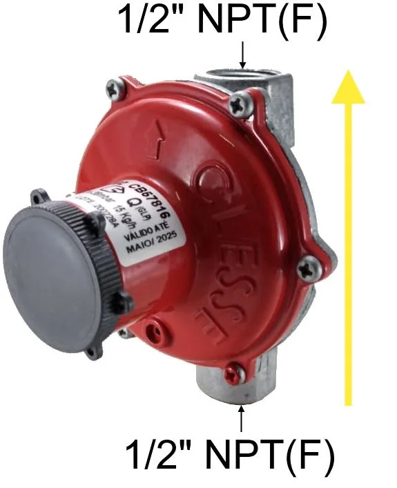 Regulador de pressão de gás Clesse BP2202FF